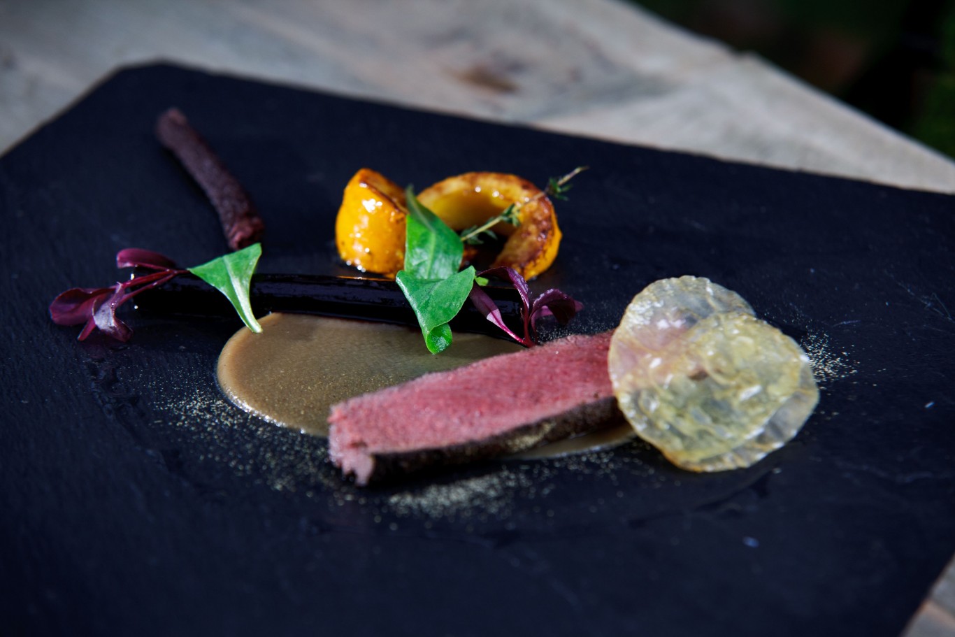 venison